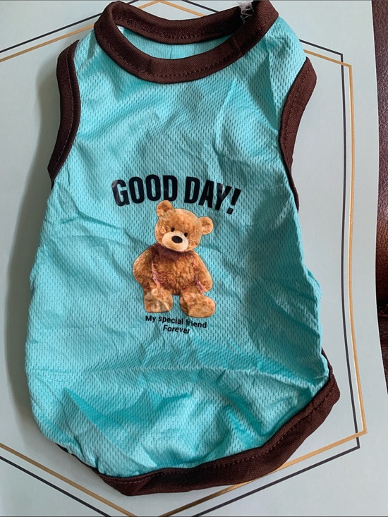 Other - GOOD DAY! Teddy Graphic Aqua Dog Tank with Brown Trim and assorted colors